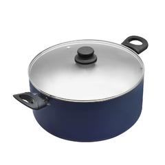 Raj Non-Stick Cooking Pot W/Lid (20 cm)