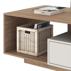 Danube Home Xavier Wooden Coffee Table (60 x 120 x 45 cm, Almond/Off White)