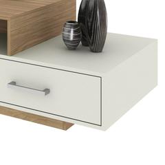 Danube Home Xavier Wooden Coffee Table (60 x 120 x 45 cm, Almond/Off White)