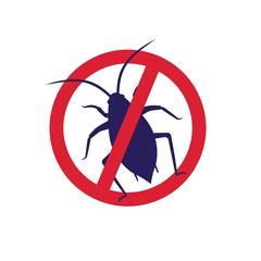 Zero In Bed Bug & Dust Mite Killer Powder (250 g)