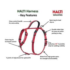 Company Of Animals Halti Walking Dog Harness (Medium)