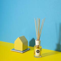 Danube Home Marta La Farfalla Home Reed Diffuser (100 ml, Vanilla & Ginger)