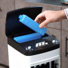 Geepas Portable Air Cooler W/2 Ice Box, GAC16017 (65 W, 6 L)