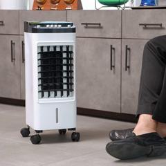 Geepas Portable Air Cooler W/2 Ice Box, GAC16017 (65 W, 6 L)