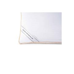 Pan Emirates Hungarian Goose Down Pillow (50 x 70 cm, White)