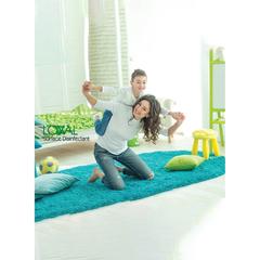 Loyal Surface Disinfectant Cleaner Spray (Lemon & Lime, 500 ml)