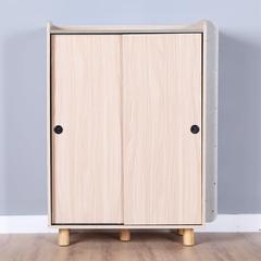 Danube Home Edina Engineered Wood Shoe Cabinet W/Sliding Door (86 x 40 x 115 cm)
