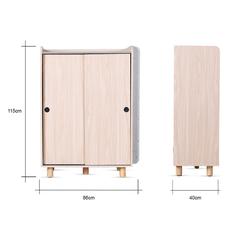 Danube Home Edina Engineered Wood Shoe Cabinet W/Sliding Door (86 x 40 x 115 cm)