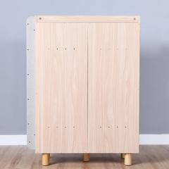 Danube Home Edina Engineered Wood Shoe Cabinet W/Sliding Door (86 x 40 x 115 cm)